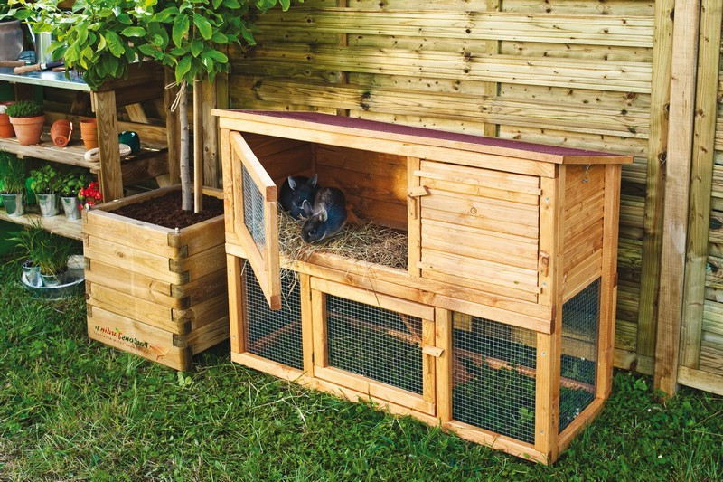 Comment installer une cage à lapin