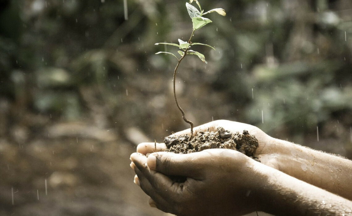 Comment installer une cuve de récupération d'eau de pluie enterrée ?