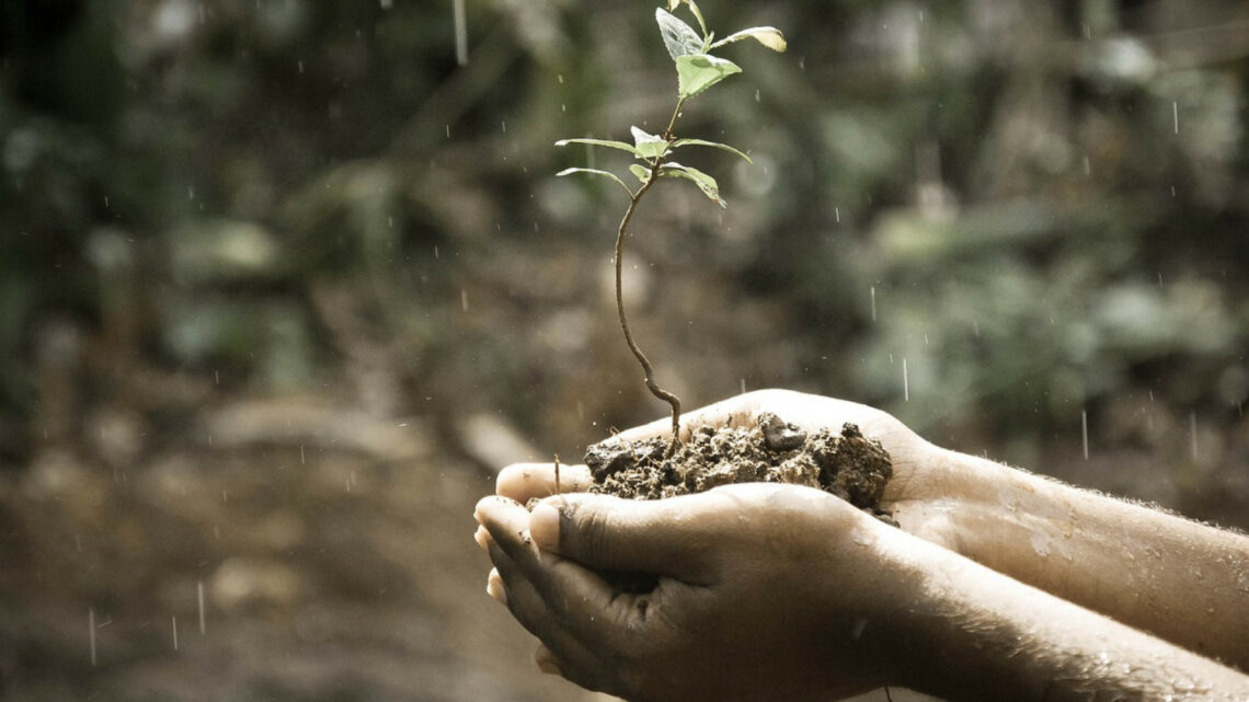 Comment installer une cuve de récupération d'eau de pluie enterrée ?