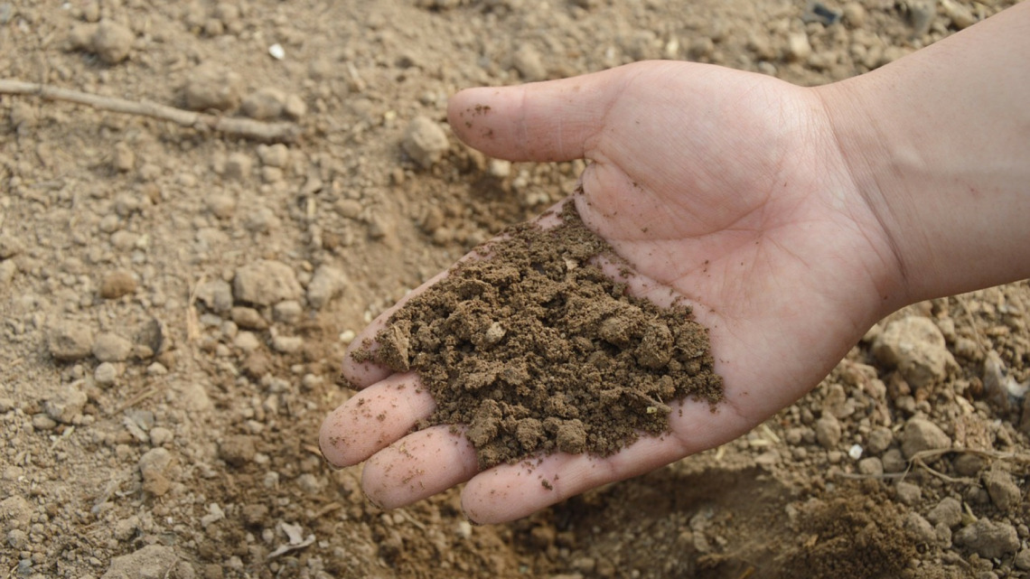 Comment utiliser un engrais azoté dans les jardins ?