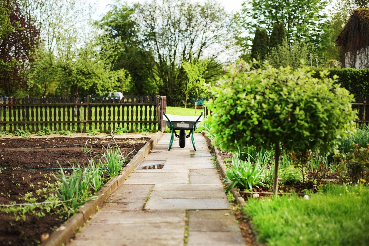 conseils jardin