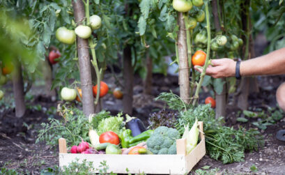 couteau pour légumes