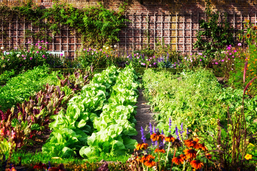 création jardin