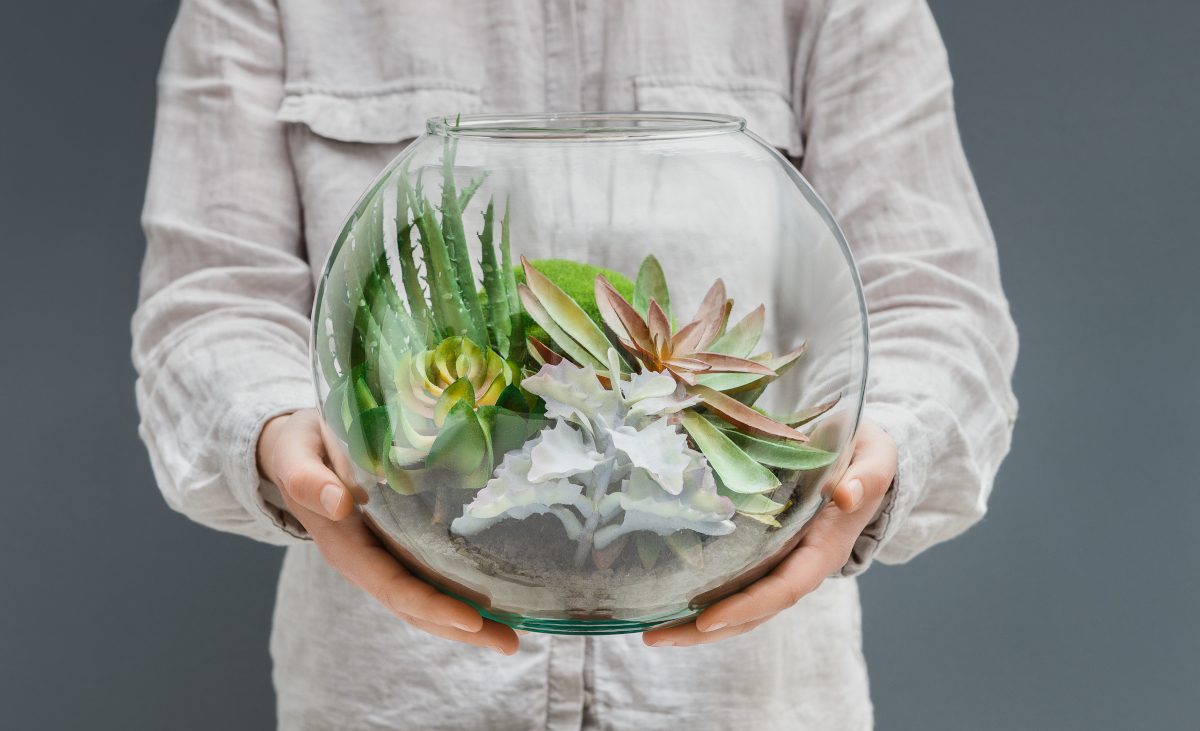 Créer un terrarium : Plante enfermée dans un bocal