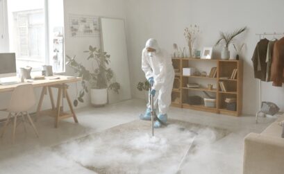 Désinsectisation Paris