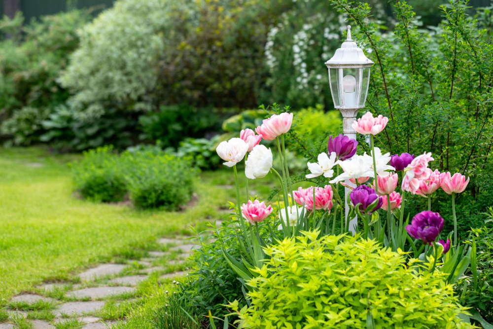 éclairage de jardin