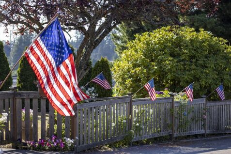 drapeau Etats-Unis jardin