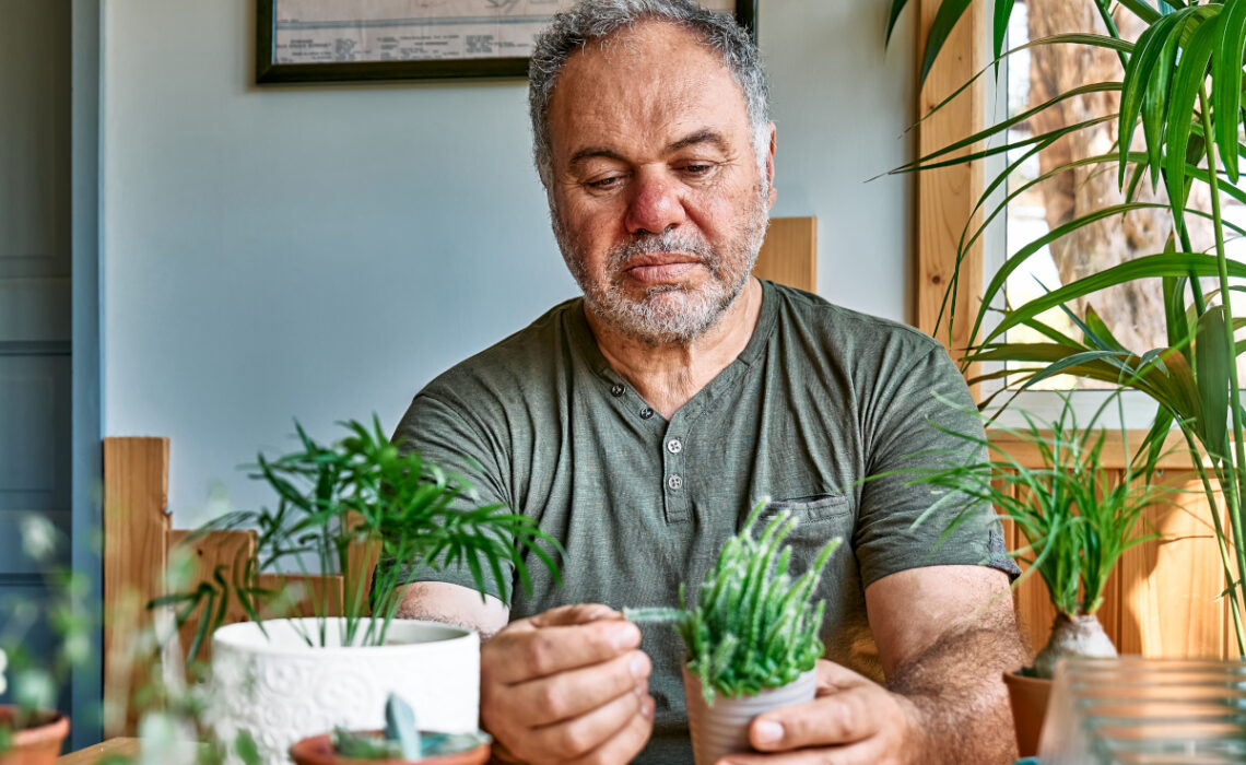 entretien des plantes