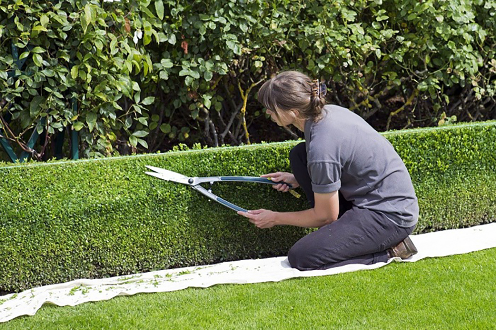 entretien jardin