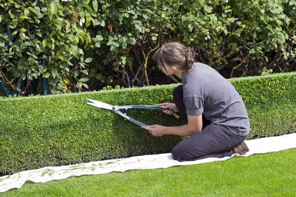 entretien jardin