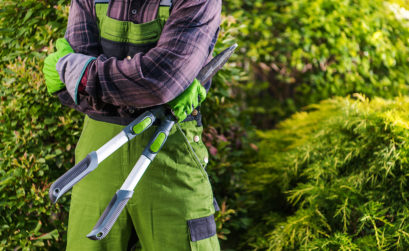 entretien du jardin