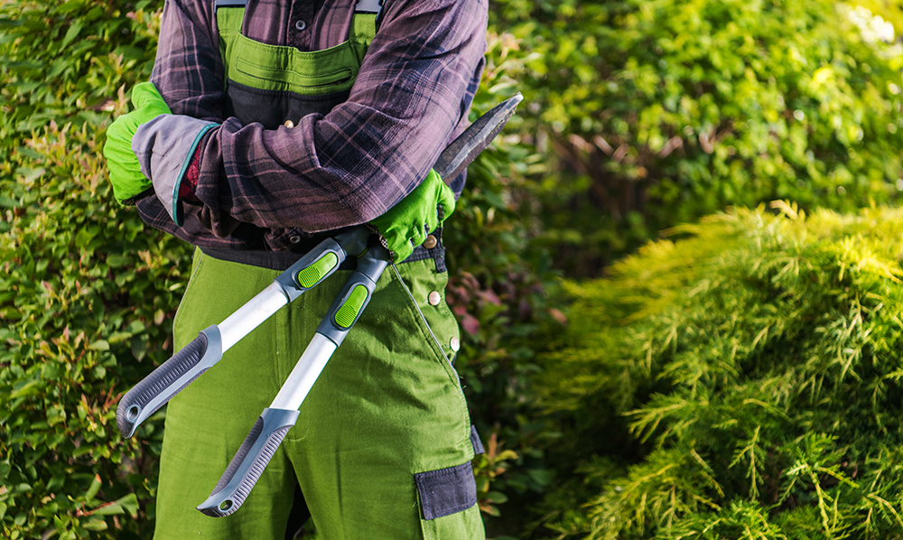 entretien du jardin