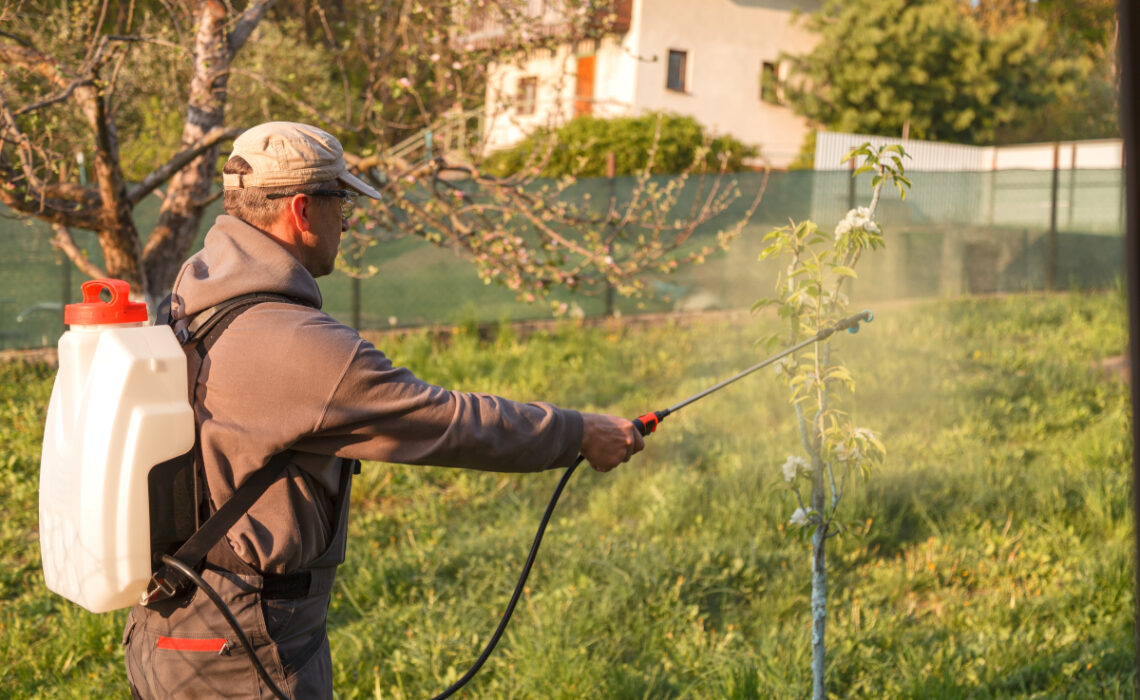 expert anti-nuisibles