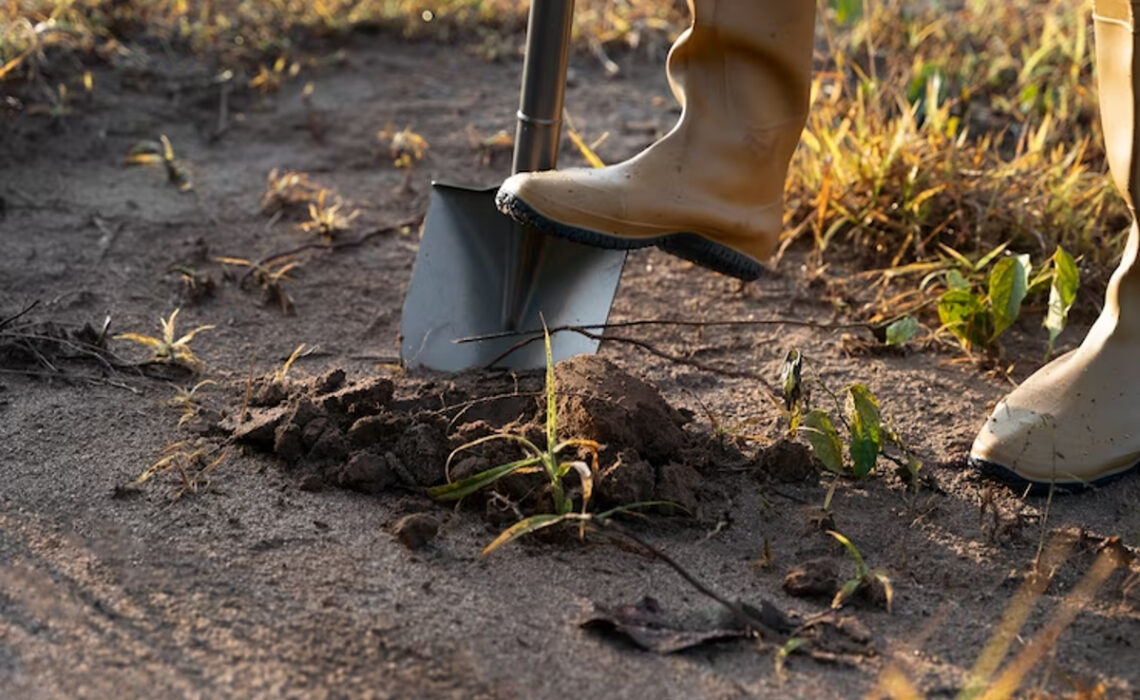 Comment faire des trous dans la terre pour planter des plantes