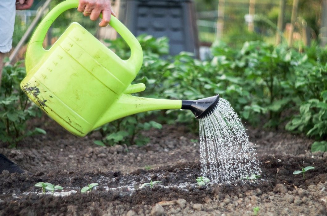 faire un potager