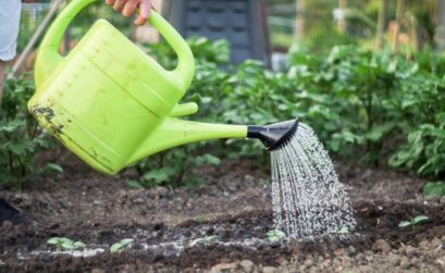 faire un potager