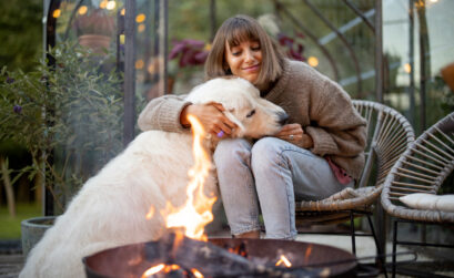 fauteuil chien