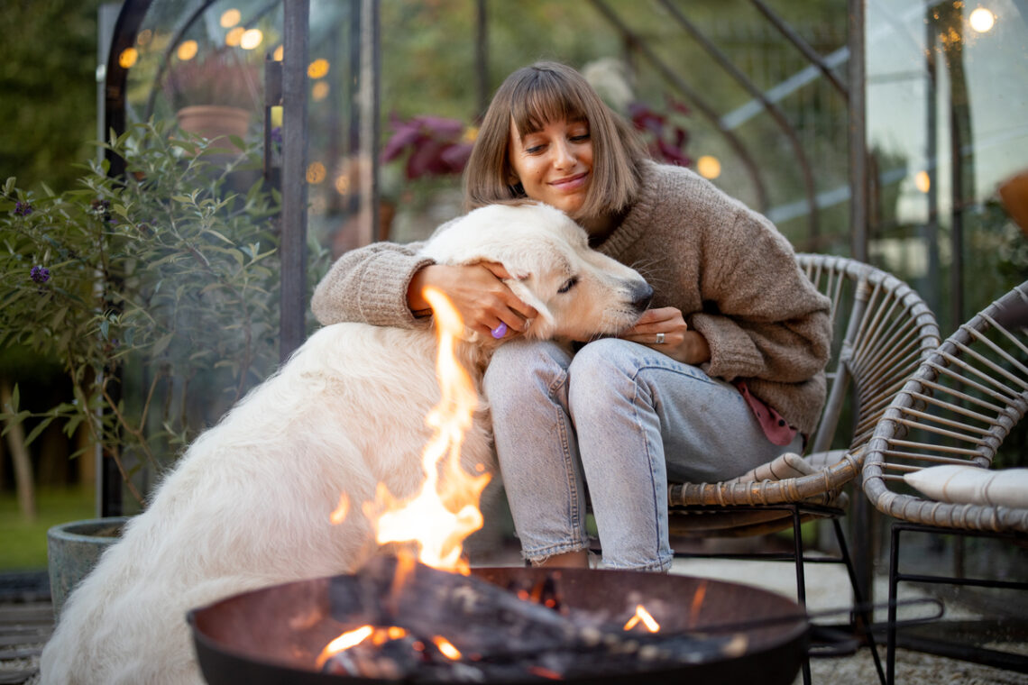 fauteuil chien