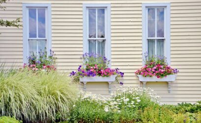 fenetre depuis le jardin