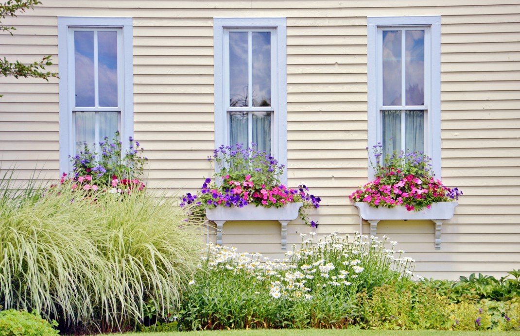 fenetre depuis le jardin