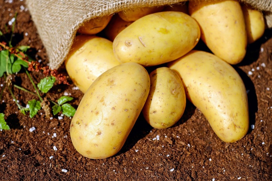 fruits et légumes chez grossiste bio