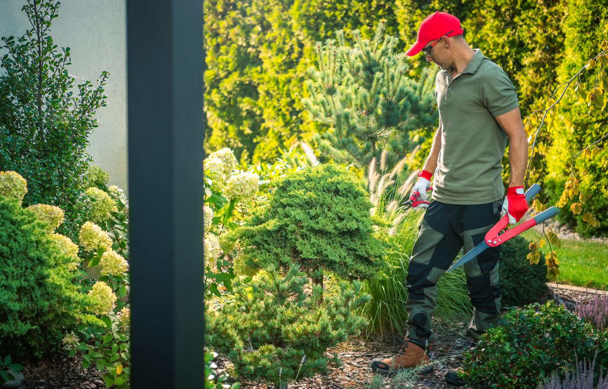 entretien jardin