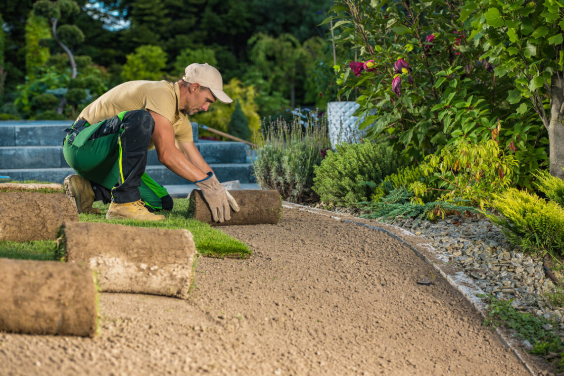 Qu’estce que le gazon en rouleau