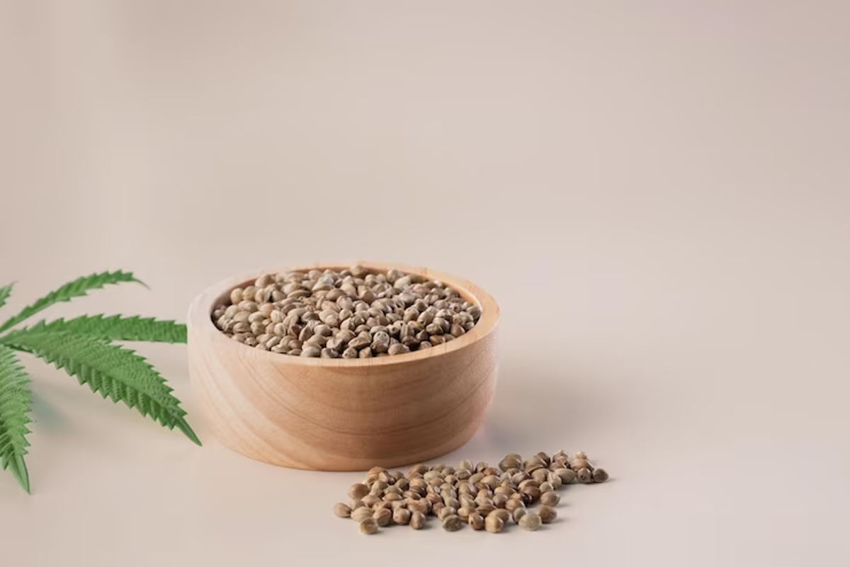 graines cannabis