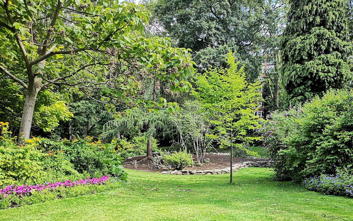 jardin