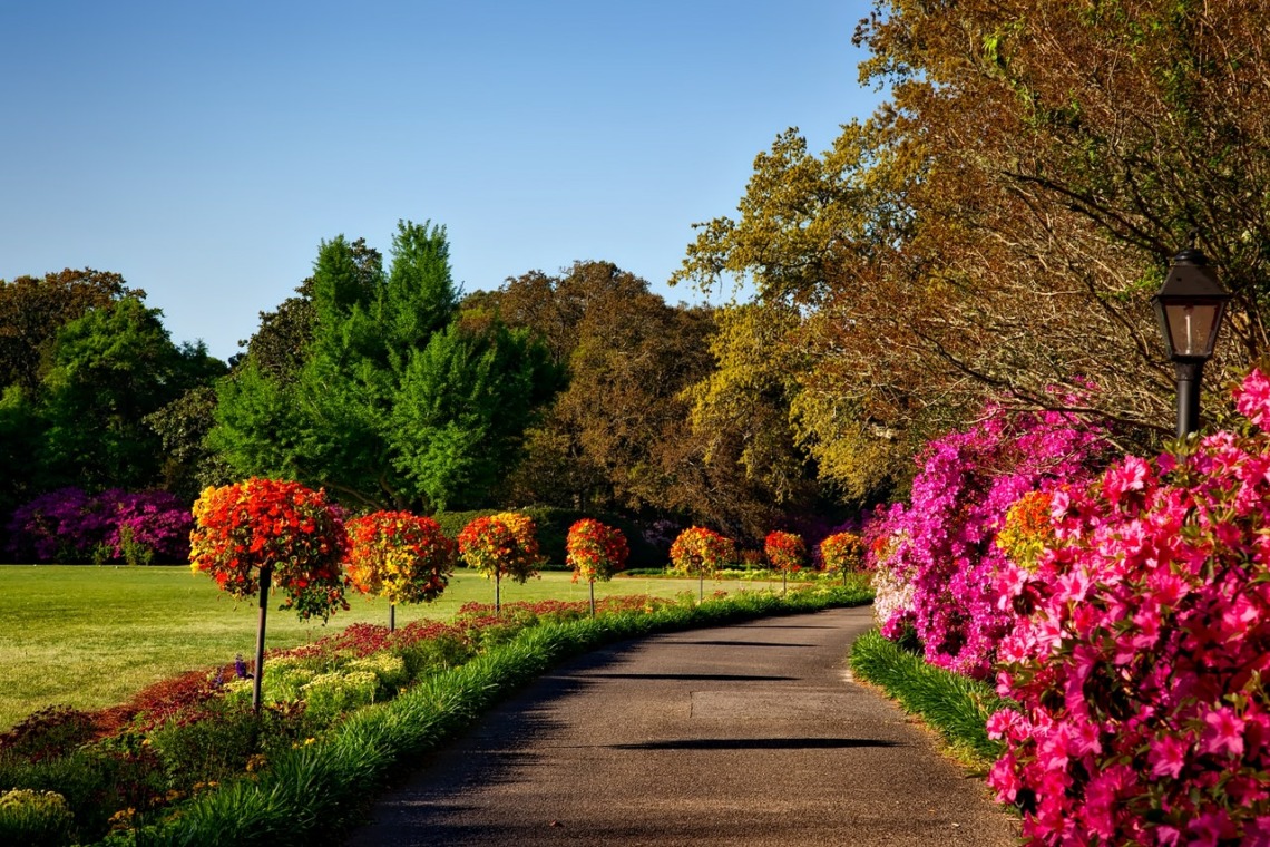 jardin