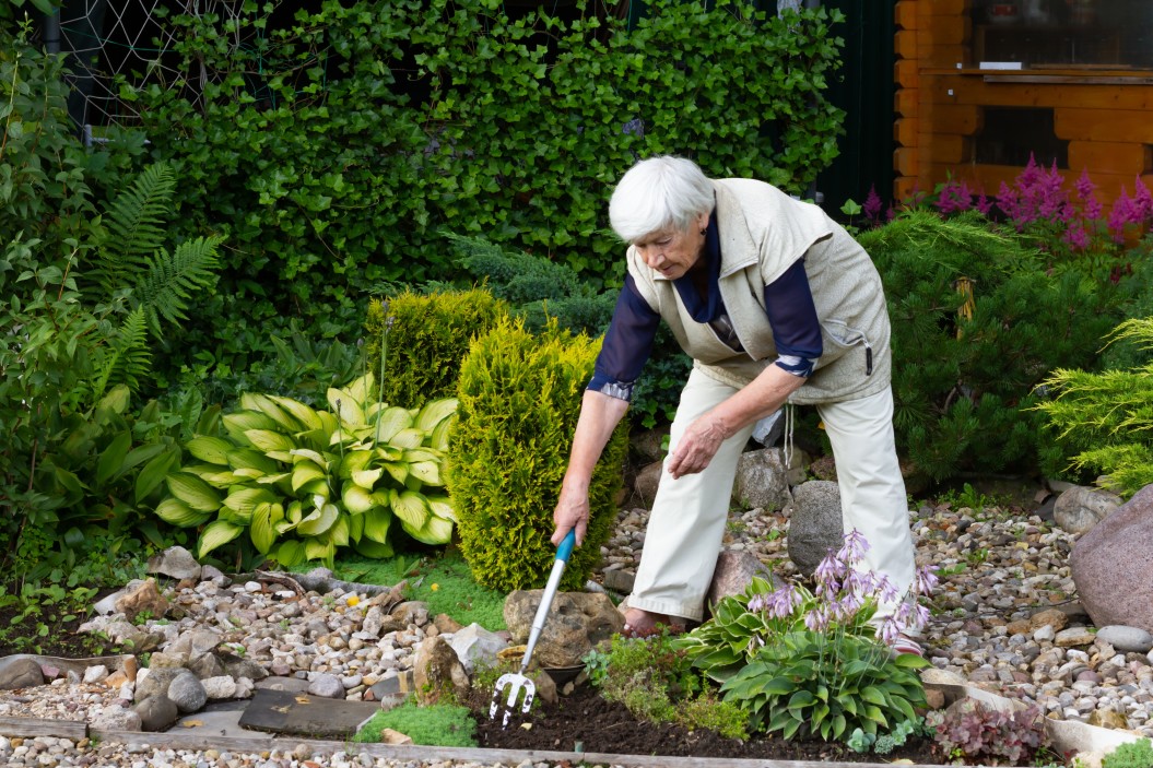 jardin accessible