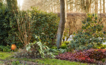 jardin endommagé
