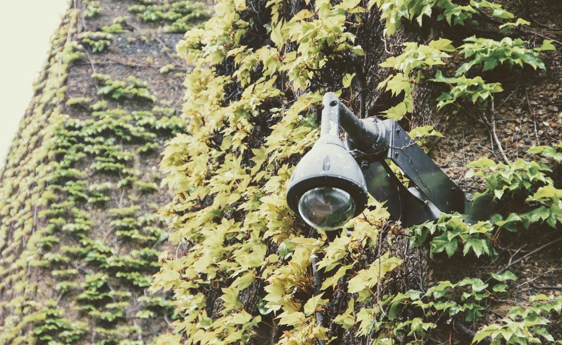 jardin et alarme sans fil