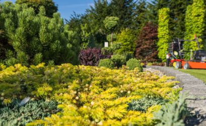 jardin quatre saisons