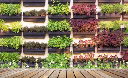 jardin vertical