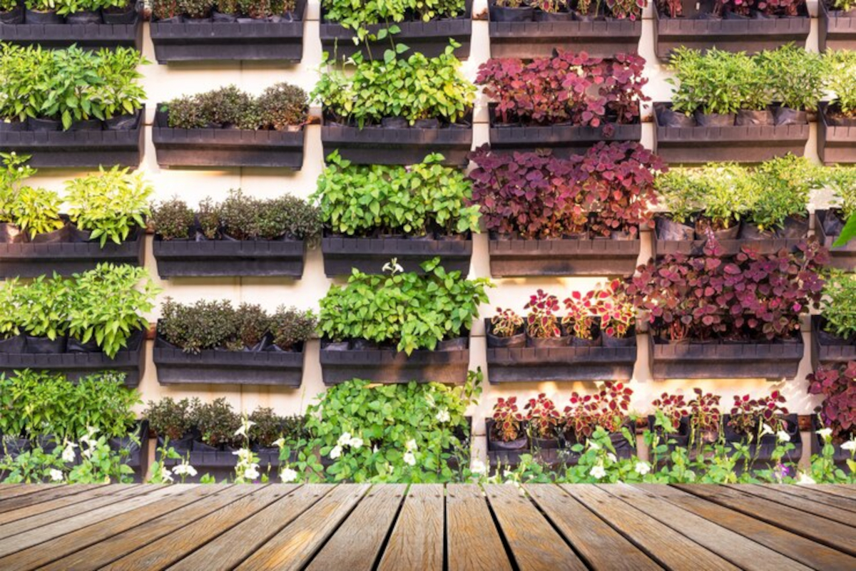 jardin vertical