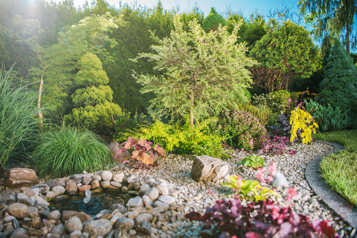 jardinage