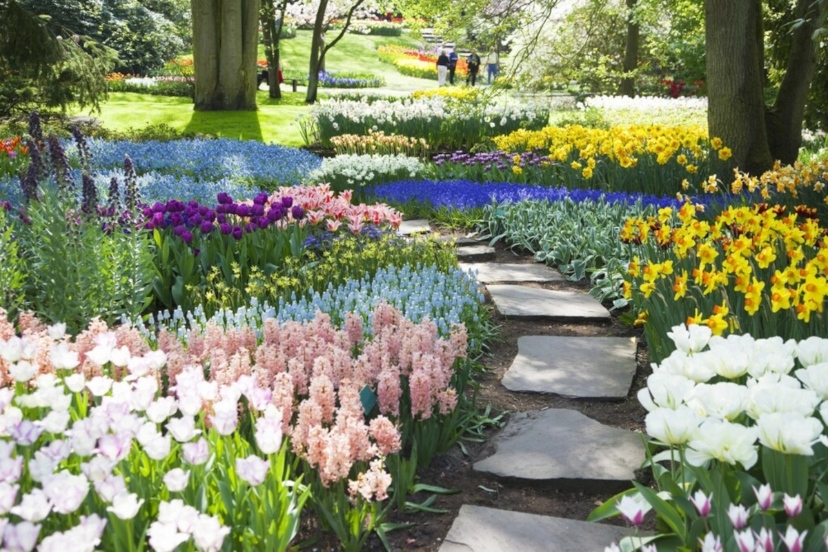 jardins enchantés