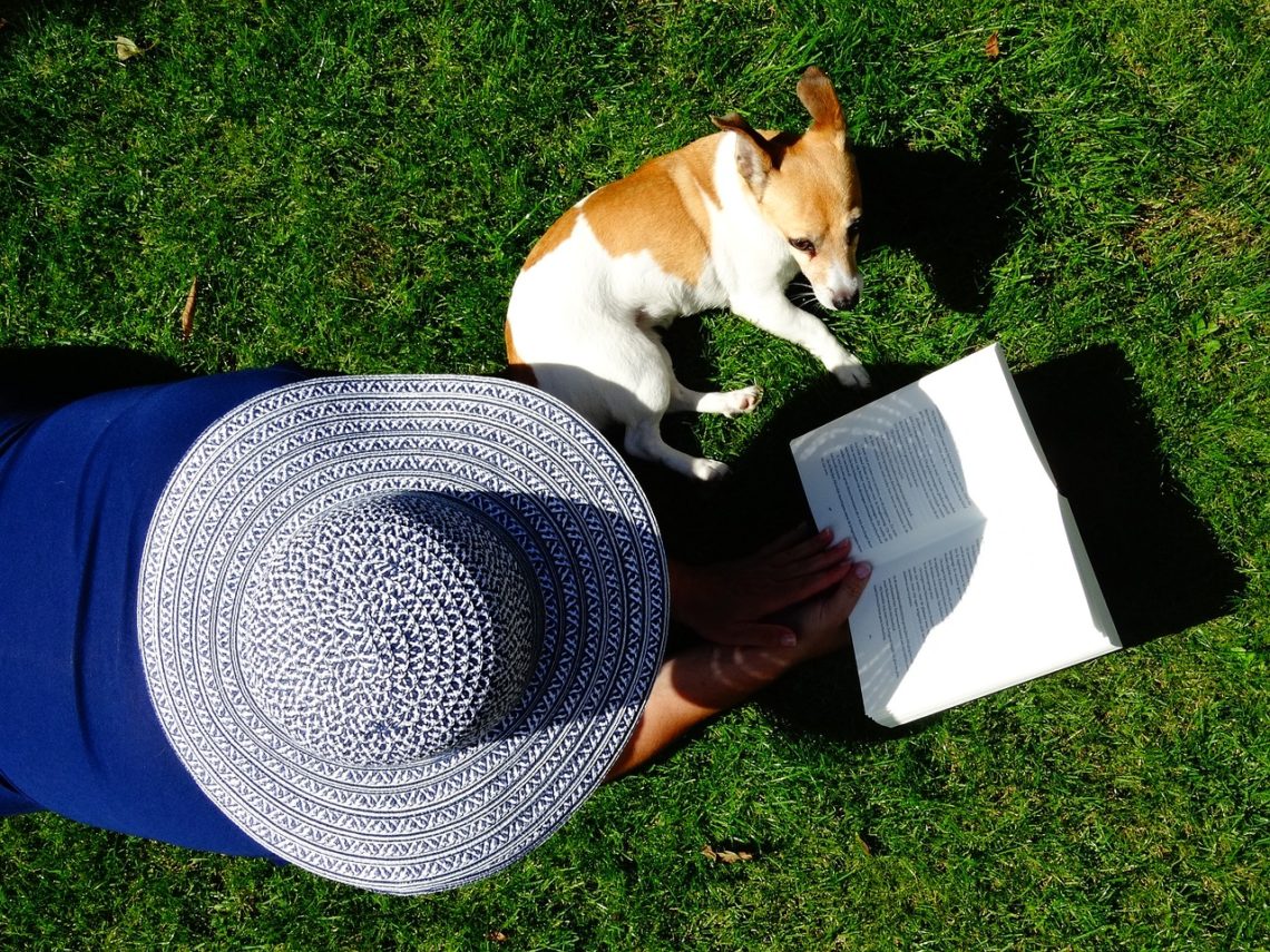le vol de son chien