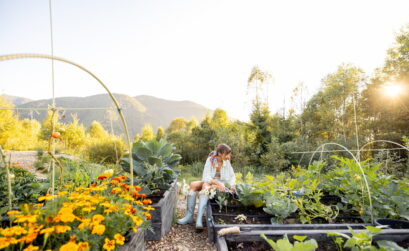 principes permaculture