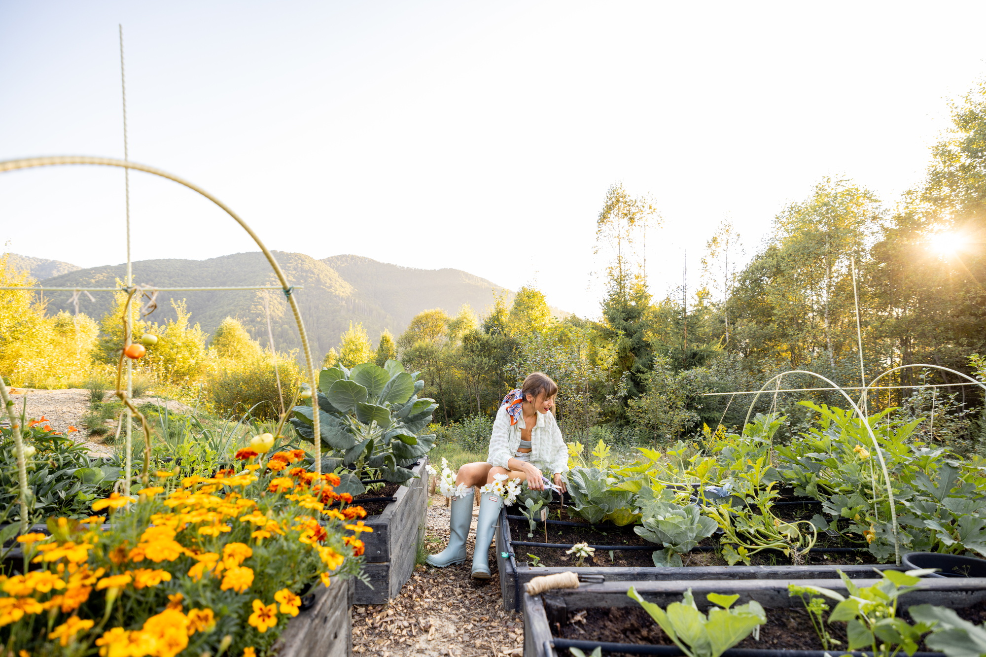principes permaculture