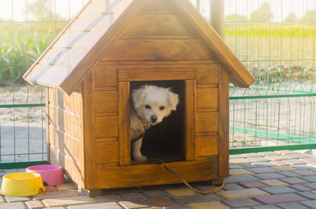 niche chien jardin