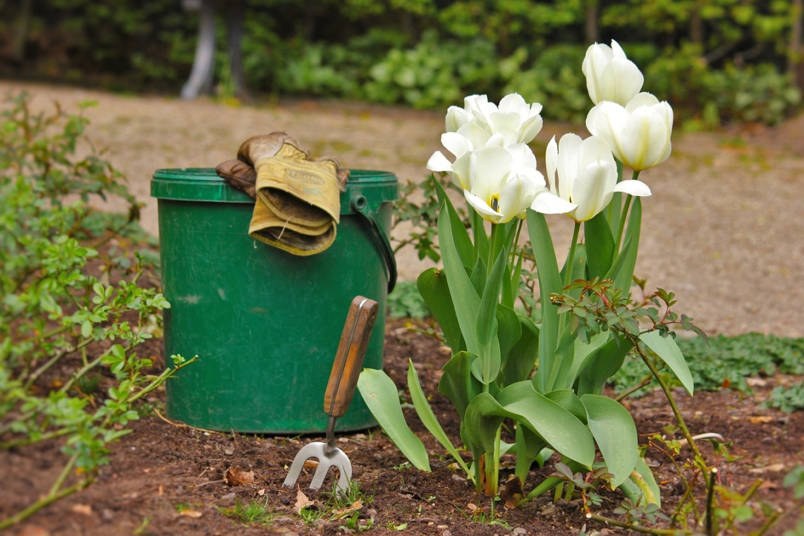 outils de jardinage