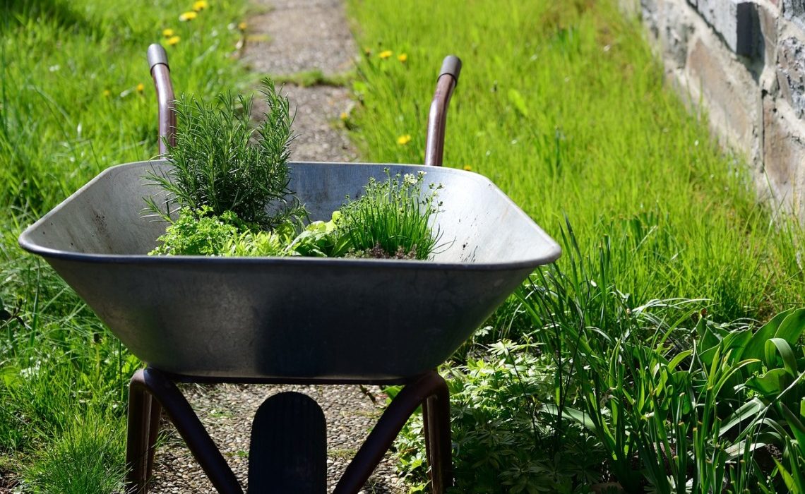 outils pour son jardin