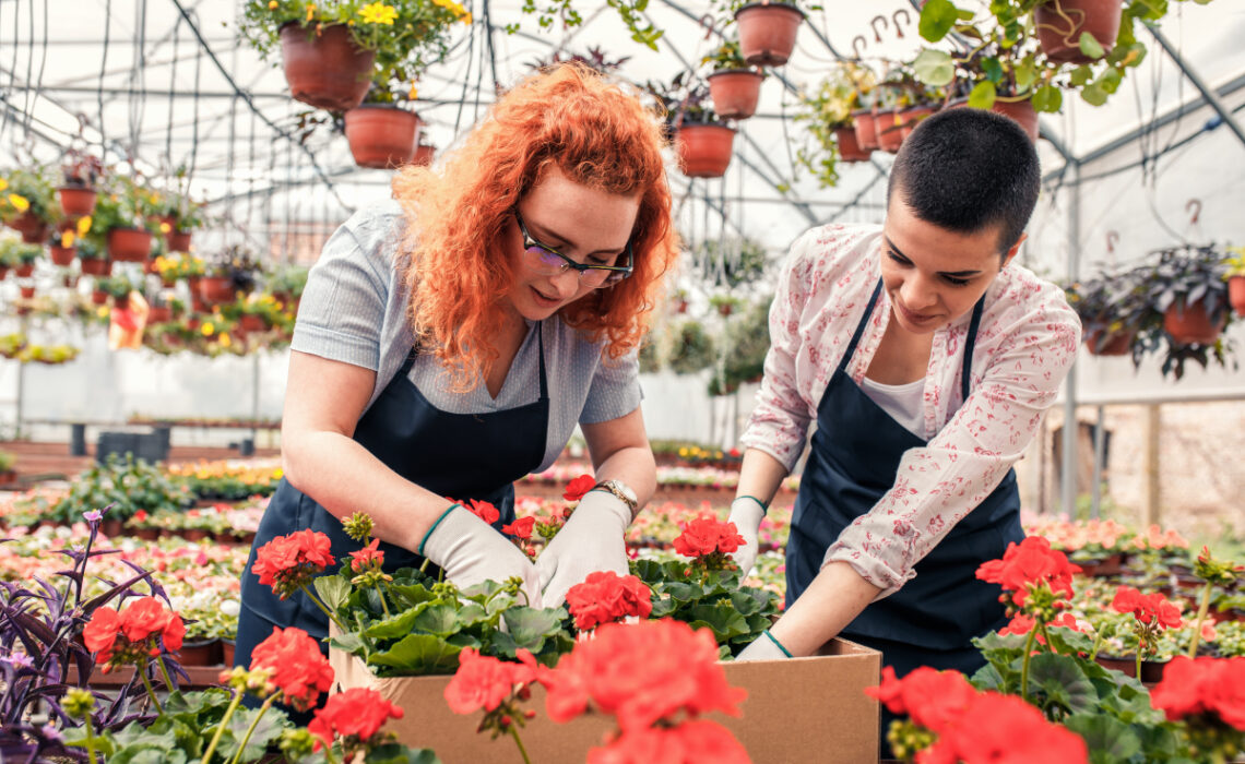 Jardinage : 5 idées de cadeaux pour les passionnés de jardin potager