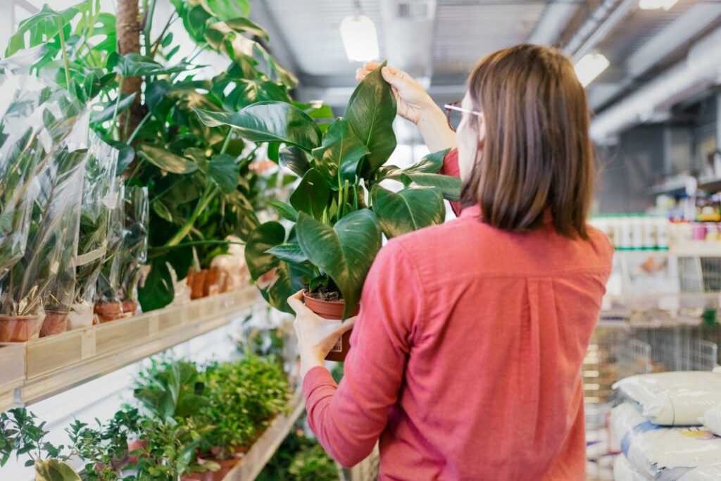 pépinière pour achats de plantes