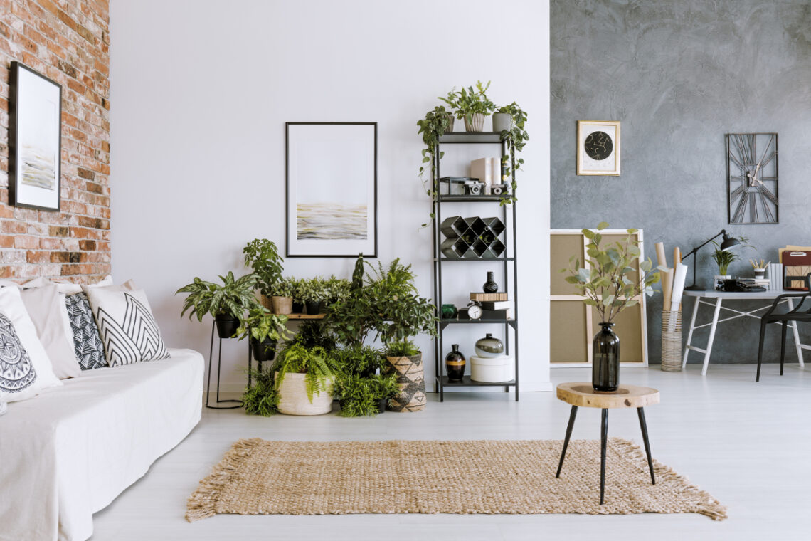 plantes artificielles