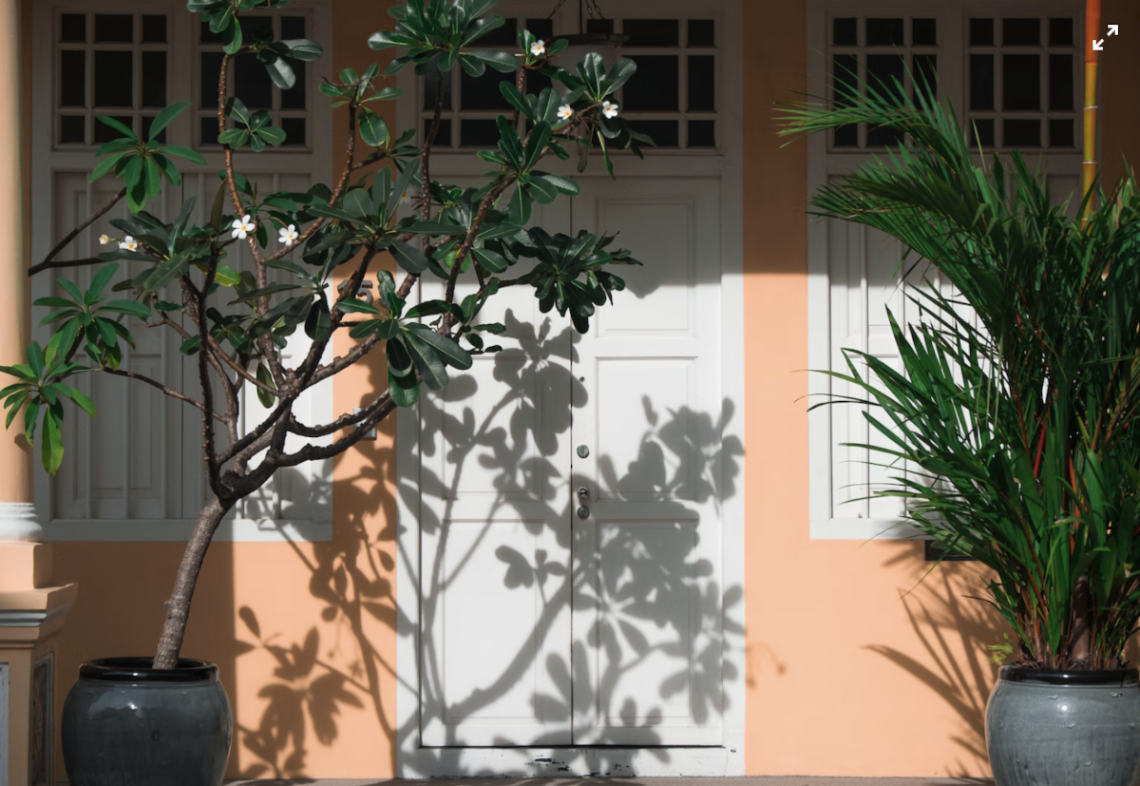 positionnement plantes