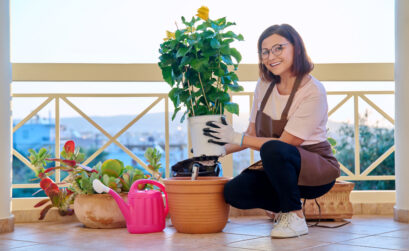 pot terrasse