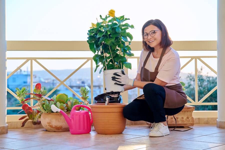 pot terrasse